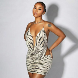 ZEBRA TOP-SKIRT SET